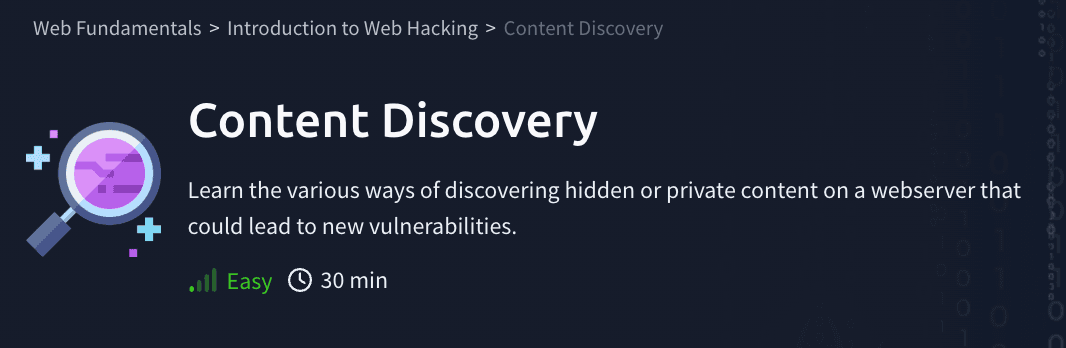 Introduction to Web Hacking: Content Discovery (TryHackMe)