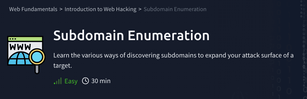 Introduction to Web Hacking: Subdomain Enumeration (TryHackMe)