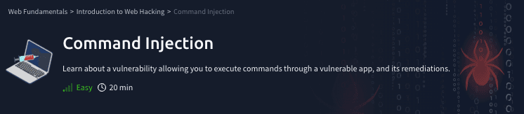 Introduction to Web Hacking: Command Injection(TryHackMe)