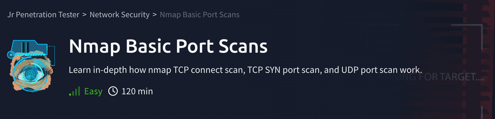 Network Security: Nmap Basic Port Scans (TryHackMe)
