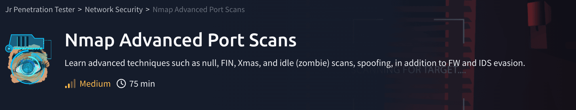Network Security: Nmap Advanced Port Scans (TryHackMe)