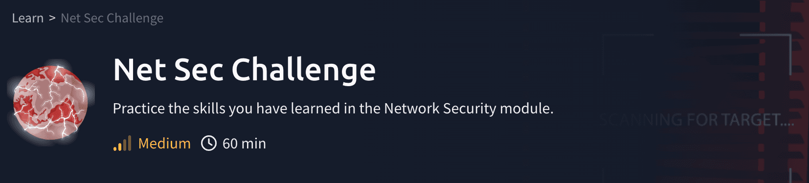 Network Security: Net Sec Challenge (TryHackMe)