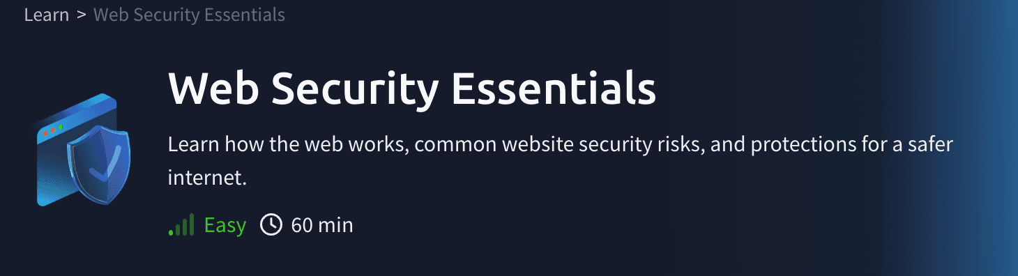 Web Security Essentials (TryHackMe)