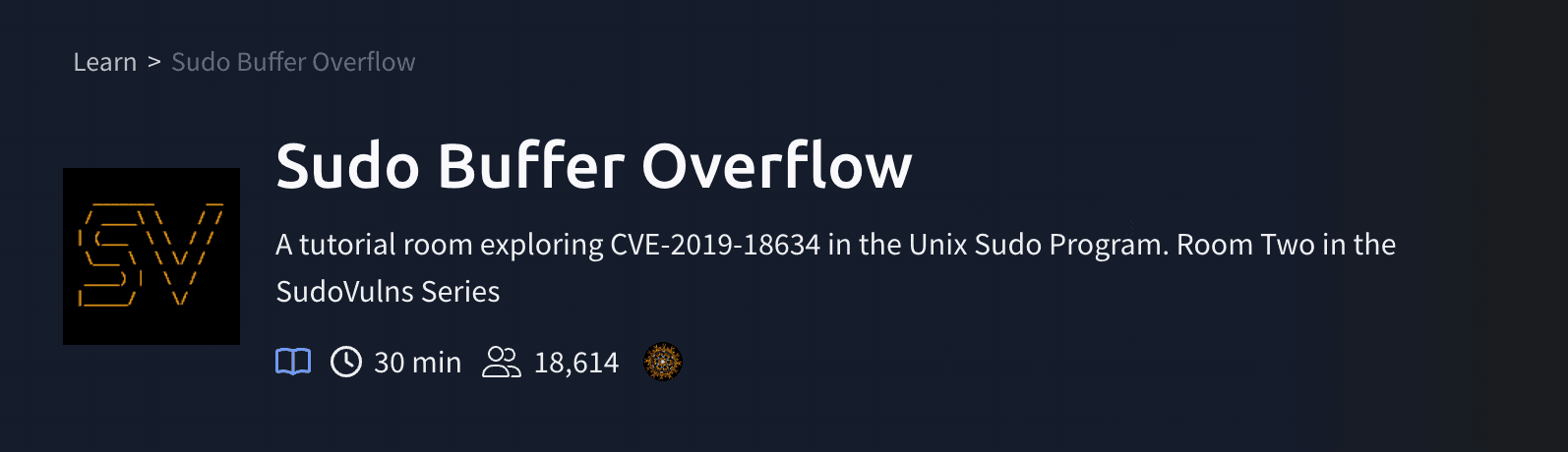 Sudo Buffer Overflow (TryHackMe)