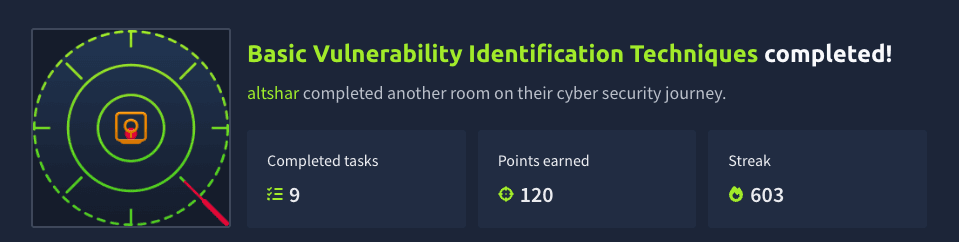 Basic Vulnerability Identification Techniques (TryHackMe)